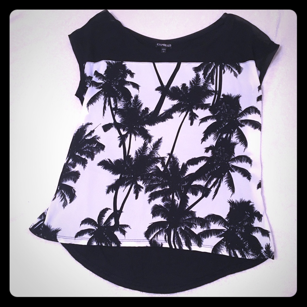 Express Palm Tree Top